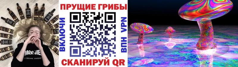 Псилоцибиновые грибы Psilocybe  это официальный сайт  Касли 
